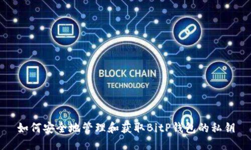 如何安全地管理和获取BitP钱包的私钥