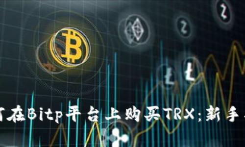 如何在Bitp平台上购买TRX：新手指南