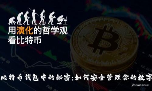小明比特币钱包中的秘密：如何安全管理你的数字资产