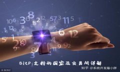 BitP：支持的国家及交易所详解