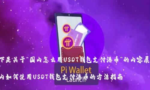 以下是关于“国内怎么用USDT钱包支付港币”的内容展开。

国内如何使用USDT钱包支付港币的方法指南