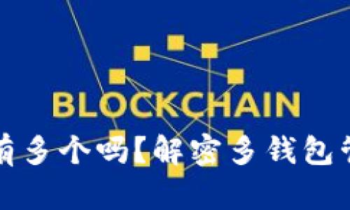 比特币钱包可以有多个吗？解密多钱包管理的优势与技巧