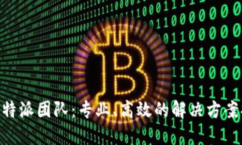 了解B特派团队：专业、高效的解决方案提供者