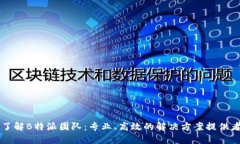 了解B特派团队：专业、高效的解决方案提供者