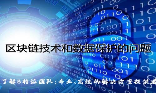 了解B特派团队：专业、高效的解决方案提供者