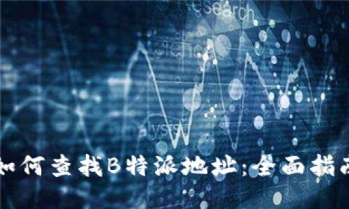 如何查找B特派地址：全面指南