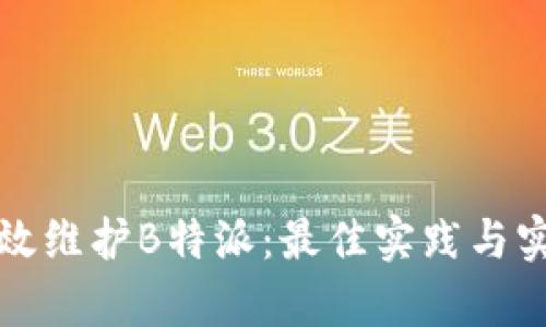 如何有效维护B特派：最佳实践与实用技巧