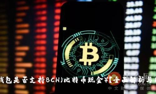 比特派钱包是否支持BCH（比特币现金）？全面解析与用户指南