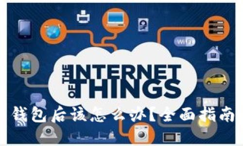 失去比特币钱包后该怎么办？全面指南与解决方案