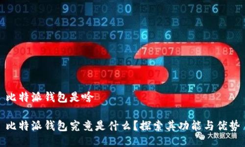 比特派钱包是啥

比特派钱包究竟是什么？探索其功能与优势