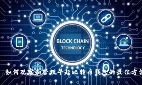 : 如何观察和管理早起比特币钱包的最佳方法