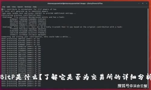 BitP是什么？了解它是否为交易所的详细分析