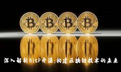 深入解析BitP开源：构建区块链技术的未来