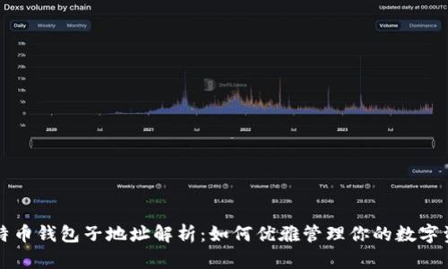 比特币钱包子地址解析：如何优雅管理你的数字资产