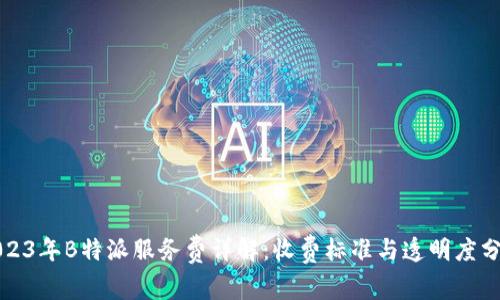 2023年B特派服务费详解：收费标准与透明度分析