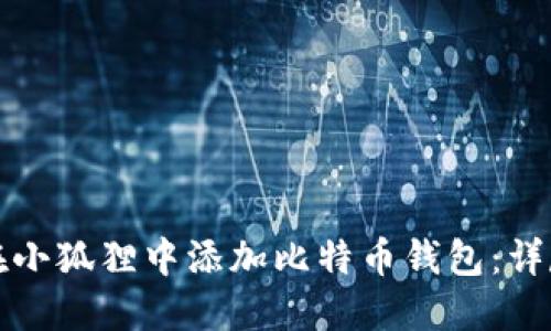 如何在小狐狸中添加比特币钱包：详尽指南