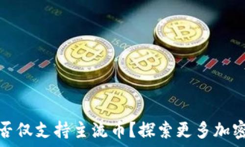   
比特派是否仅支持主流币？探索更多加密货币选项