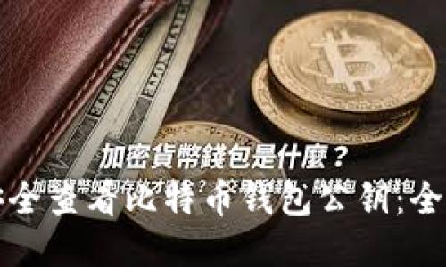 如何安全查看比特币钱包公钥：全面指南