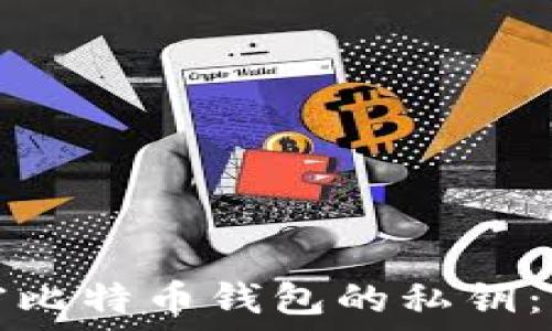   
如何查看加密比特币钱包的私钥：一步一步指南