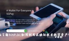 全面了解BitP.io：如何利用区块链技术数字资产管