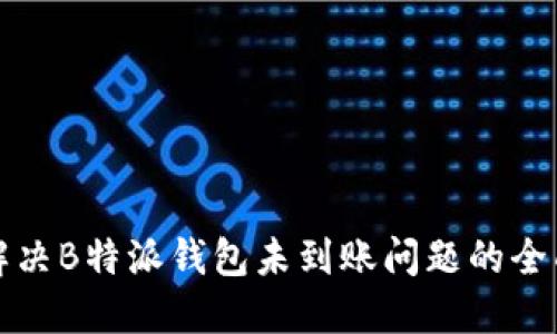 如何解决B特派钱包未到账问题的全面指南