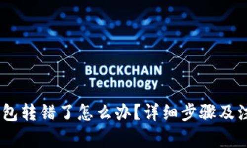 USDT钱包转错了怎么办？详细步骤及注意事项