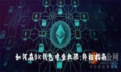 如何在BK钱包中查权限：终极指南