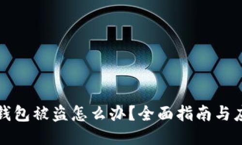 比特币钱包被盗怎么办？全面指南与应对策略