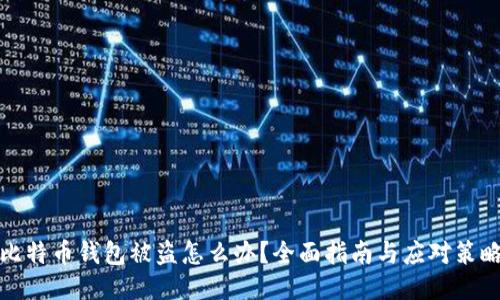 比特币钱包被盗怎么办？全面指南与应对策略