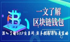 深入了解BitP交易所：新手指南与交易策略