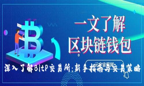 深入了解BitP交易所：新手指南与交易策略