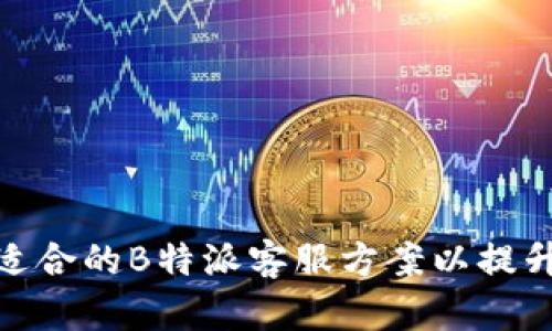 如何选择适合的B特派客服方案以提升用户体验