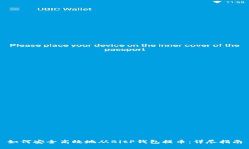 如何安全高效地从BitP钱包提币：详尽指南