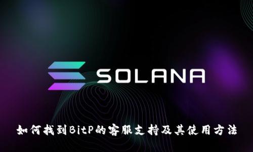 如何找到BitP的客服支持及其使用方法