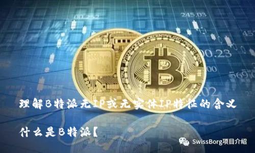 理解B特派无IP或无实体IP特征的含义

什么是B特派？