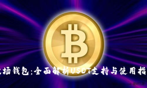 波场钱包：全面解析USDT支持与使用指南