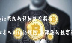 导入Bitpie钱包的详细使用指南如何轻松导入Bitp
