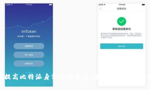 如何提高比特派身份验证额度：全面解析与实用技巧