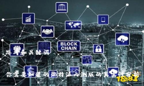 思考和关键词


你需要知道的：B特派内测版的真实性分析