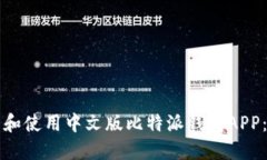 如何下载和使用中文版比特派钱包APP：完整指南