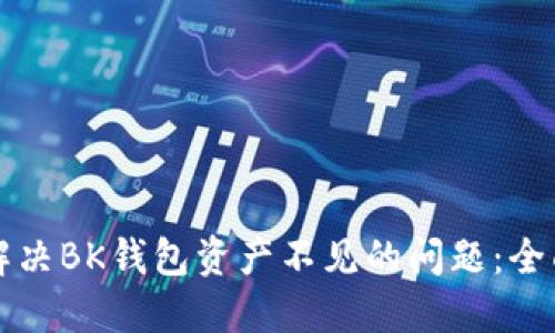 如何解决BK钱包资产不见的问题：全面指南