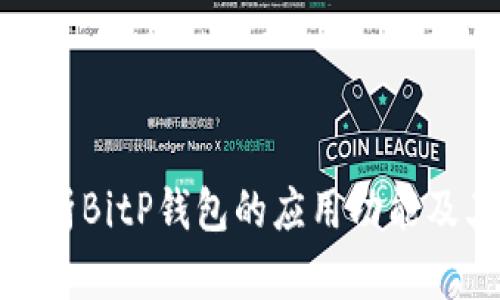 全面解析BitP钱包的应用功能及其优势