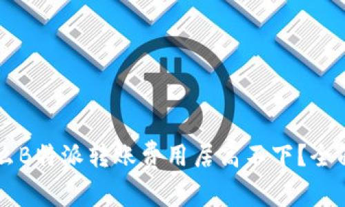 为什么B特派转账费用居高不下？全面解析