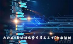 为什么B特派转账费用居高不下？全面解析
