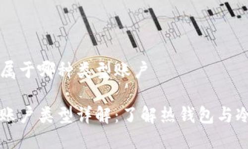 比特币钱包属于哪种类型账户

比特币钱包账户类型详解：了解热钱包与冷钱包的区别
