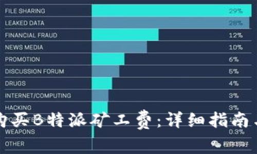 如何购买B特派矿工费：详细指南与技巧