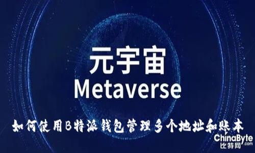 如何使用B特派钱包管理多个地址和账本