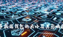 比特币手机端钱包的大小及其影响因素解析