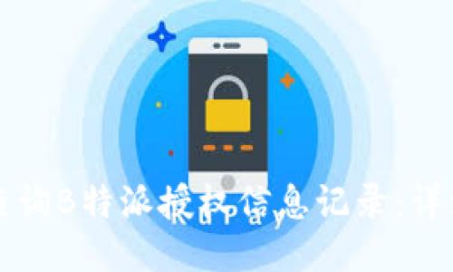 如何查询B特派授权信息记录：详细指南