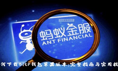 : 
如何下载BitP钱包苹果版本：完整指南与实用技巧
